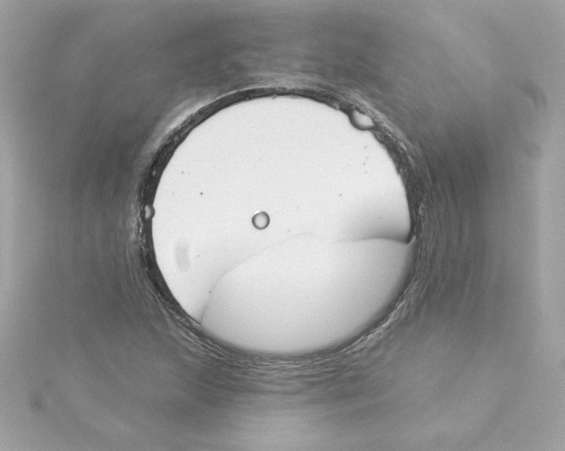 X0000115231215200911271815