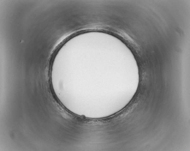 X0000115231216200911271815