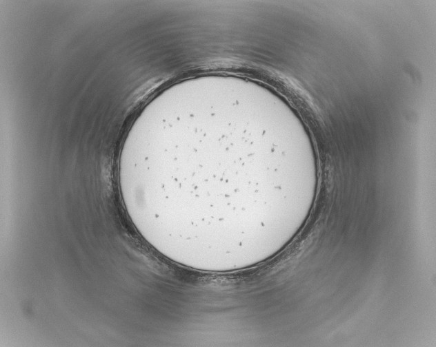 X0000115231217200911271815