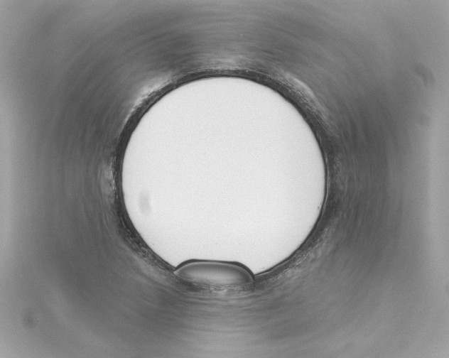 X0000115231218200911271815