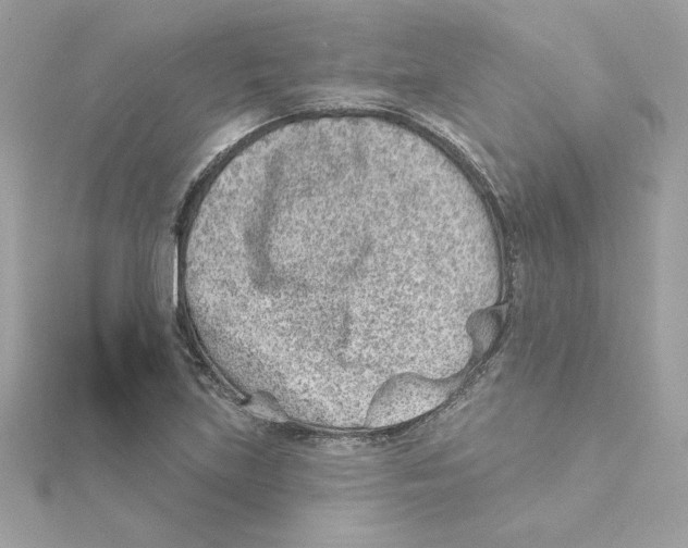 X0000115231219200911271815