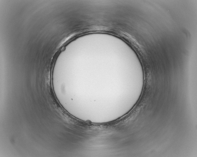 X0000115231220200911271815