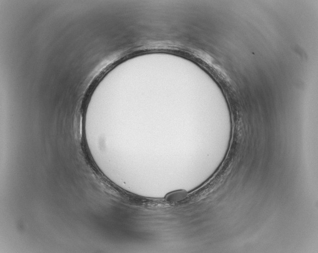 X0000115231221200911271815