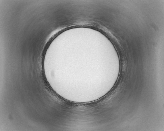 X0000115231222200911271815