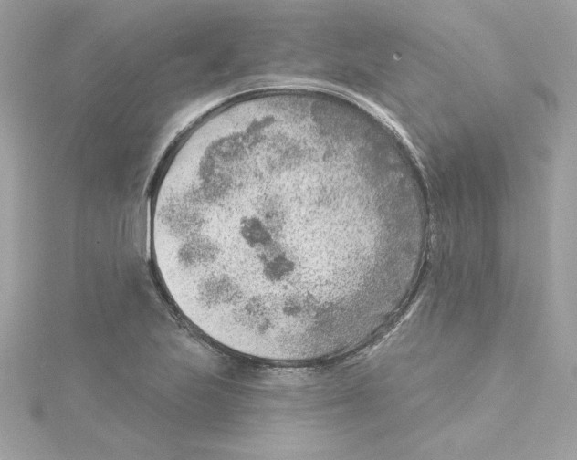 X0000115231223200911271815