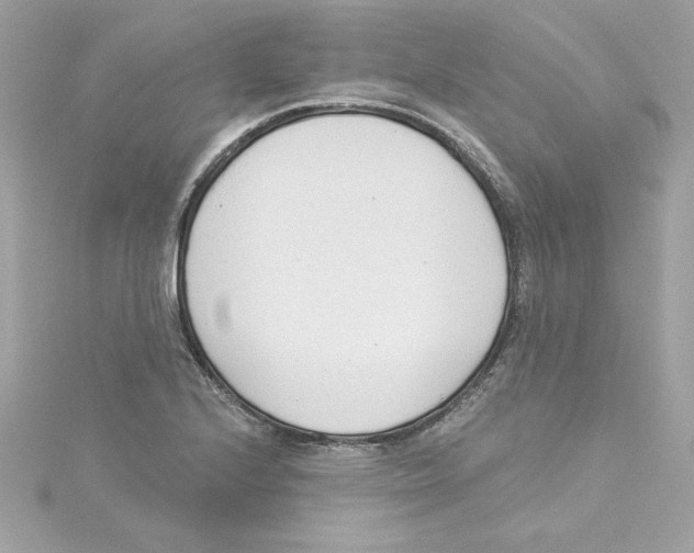 X0000115231224200911271815