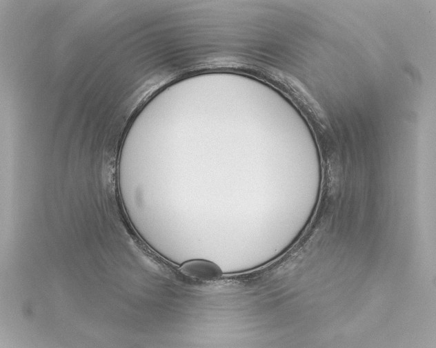 X0000115231225200911271815