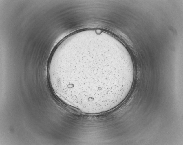 X0000115231226200911271815