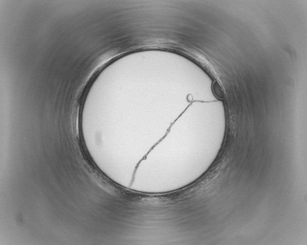 X0000115231227200911271815