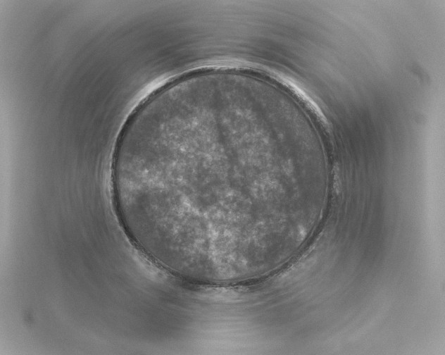 X0000115231229200911271815