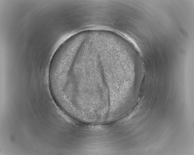 X0000115231231200911271815