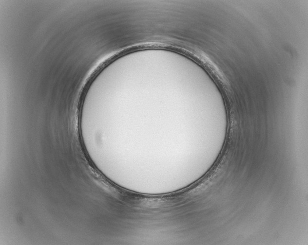 X0000115231232200911271815