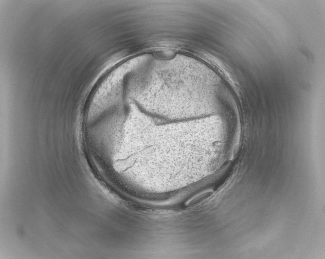 X0000115231235200911271815