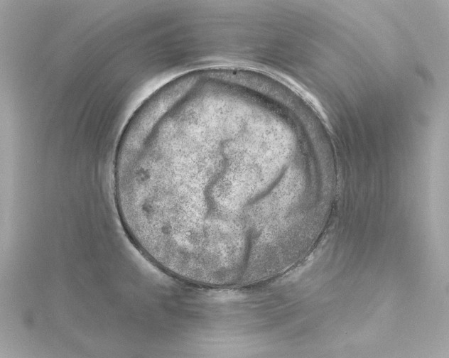 X0000115231239200911271816