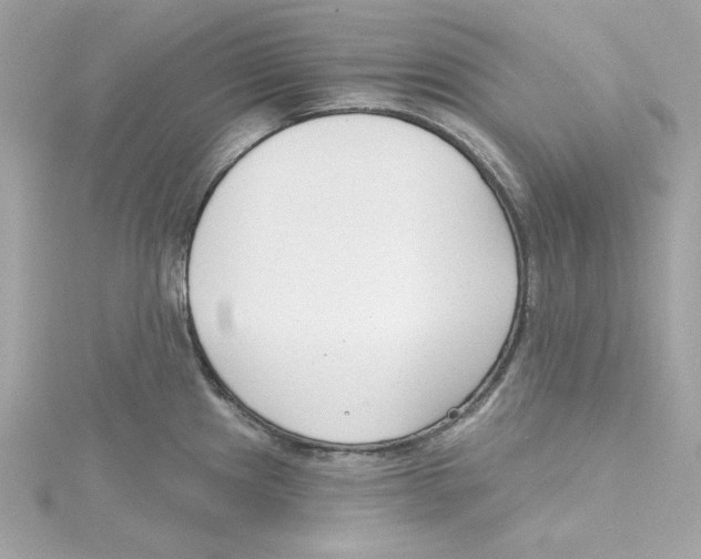 X0000115231241200911271816