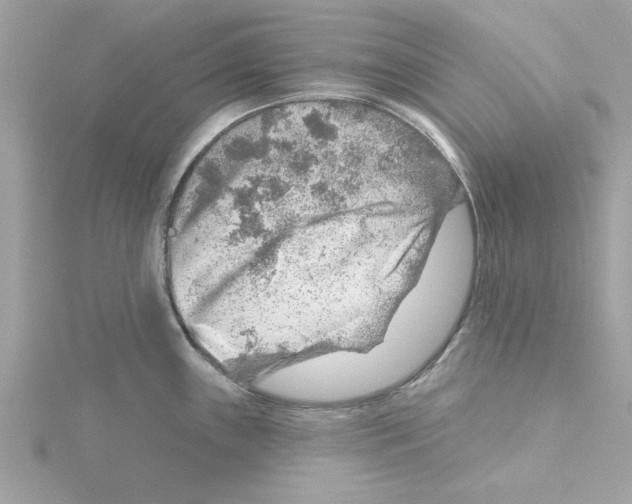 X0000115231243200911271816