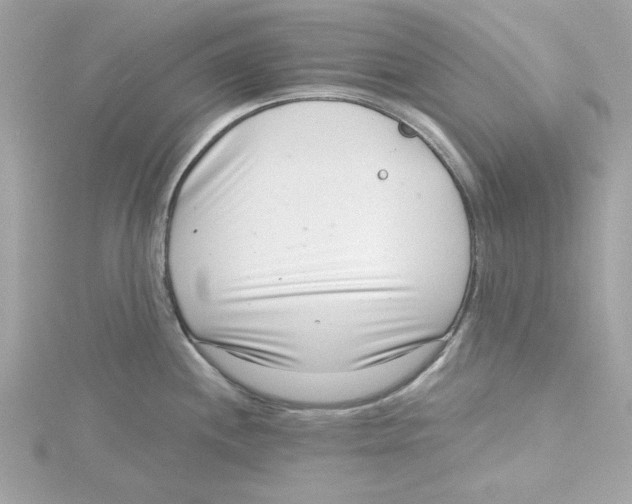 X0000115231244200911271816