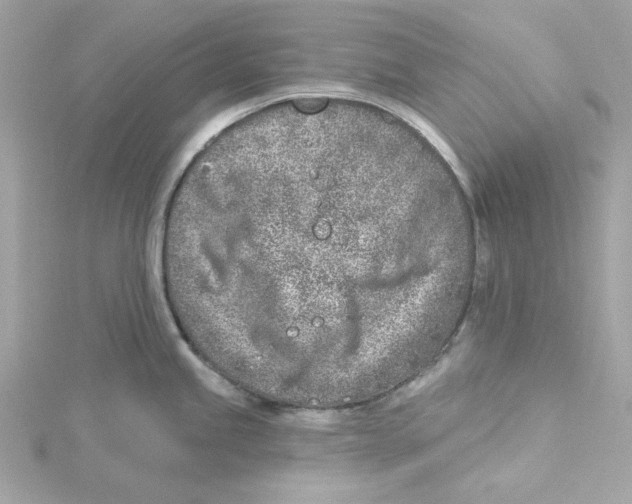 X0000115231245200911271816