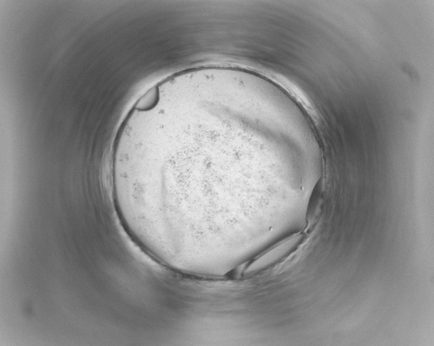 X0000115231247200911271816