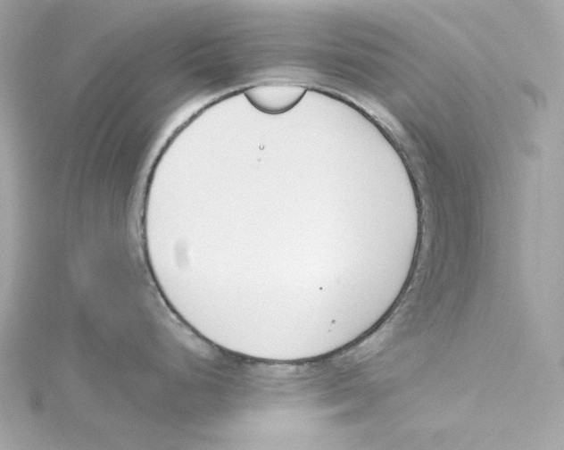 X0000115231248200911271816