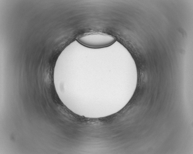 X0000115231250200911271815