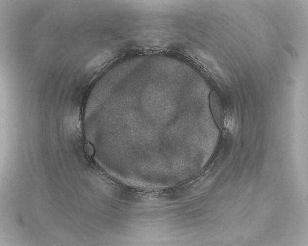 X0000115231252200911271815