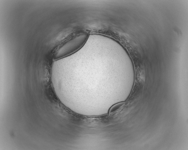 X0000115231253200911271815