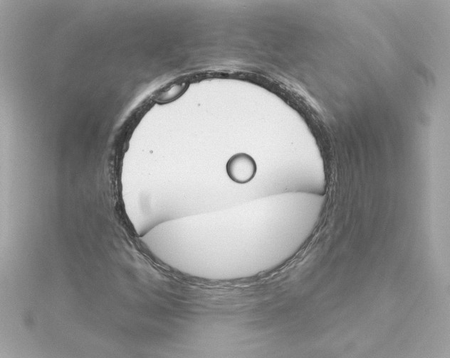 X0000115231256200911271815