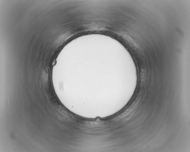 X0000115231257200911271815