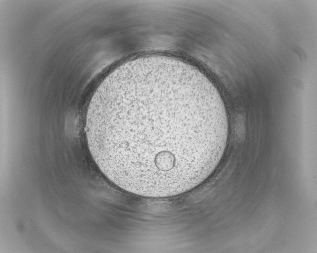 X0000115231258200911271815