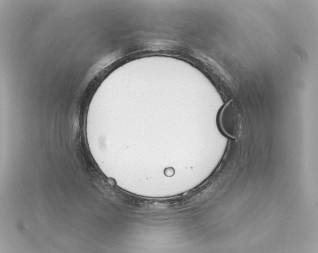 X0000115231261200911271815