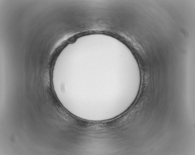 X0000115231262200911271815