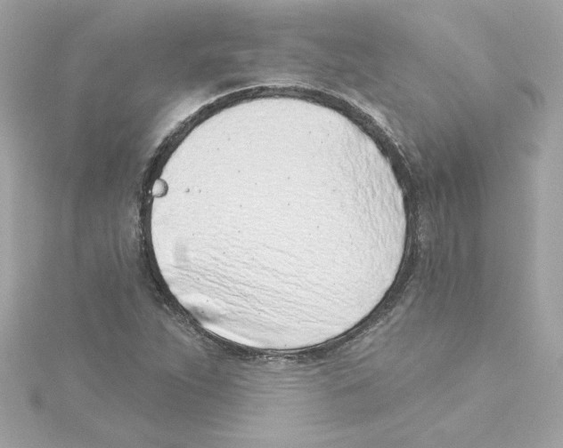 X0000115231263200911271815