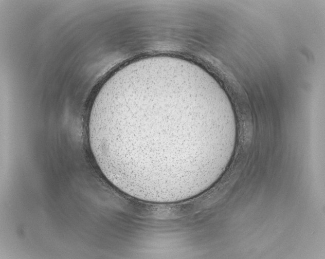 X0000115231266200911271815