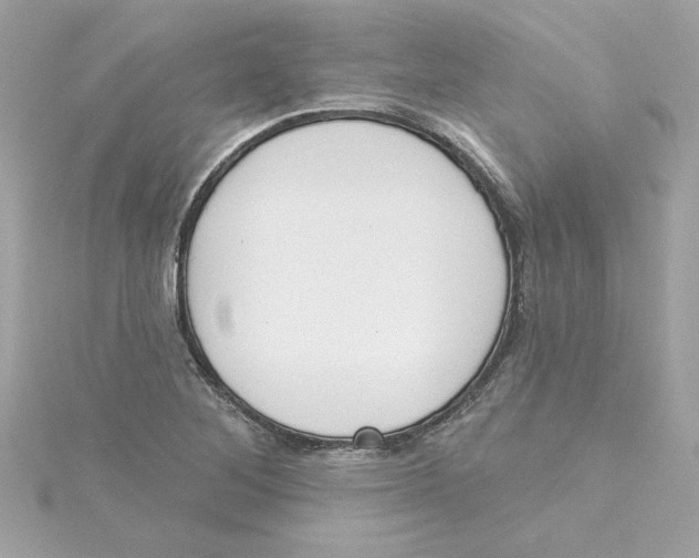 X0000115231268200911271815