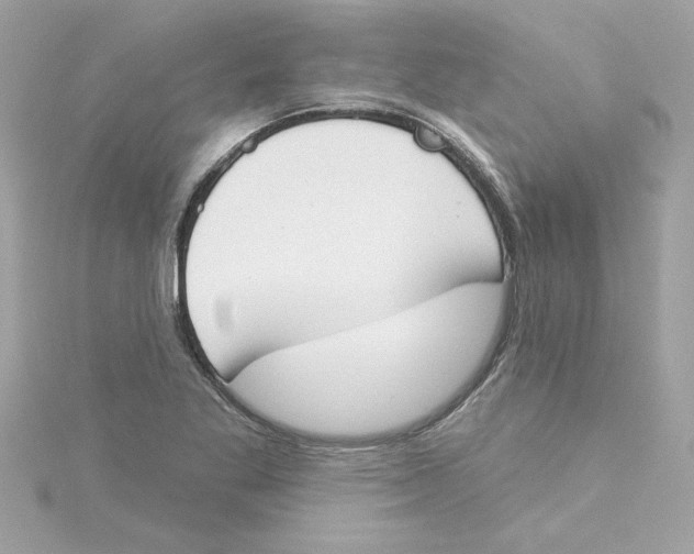 X0000115231269200911271815