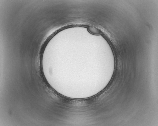 X0000115231270200911271815