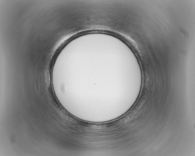 X0000115231271200911271815