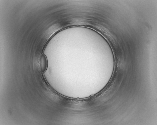 X0000115231273200911271815