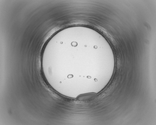 X0000115231274200911271815