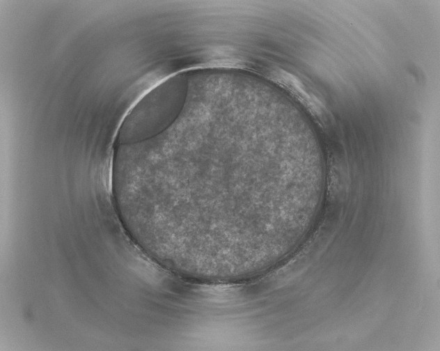 X0000115231276200911271815