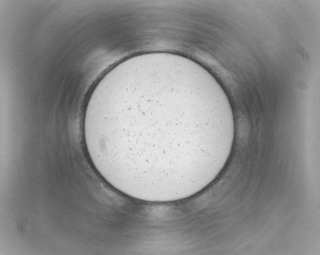 X0000115231278200911271814