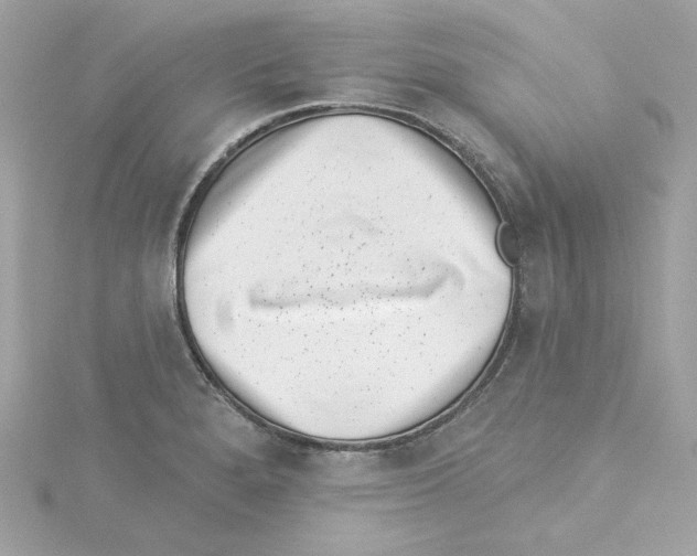 X0000115231280200911271814