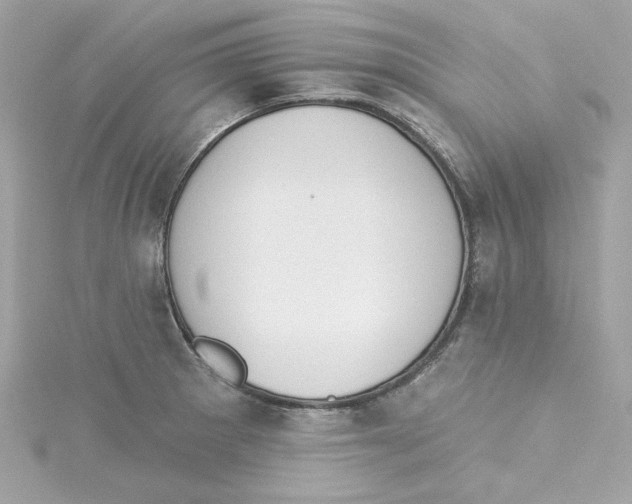 X0000115231281200911271814