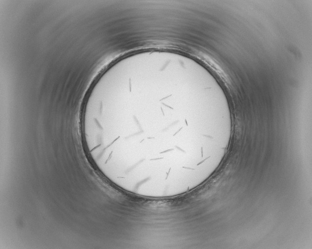 X0000115231283200911271814