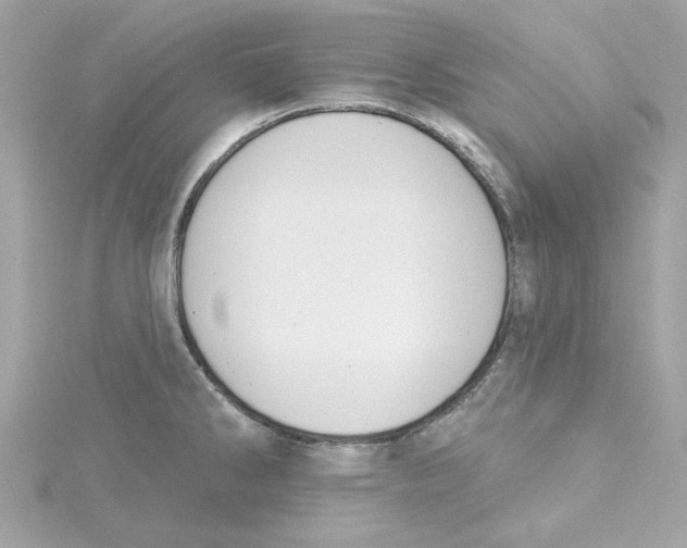 X0000115231286200911271814