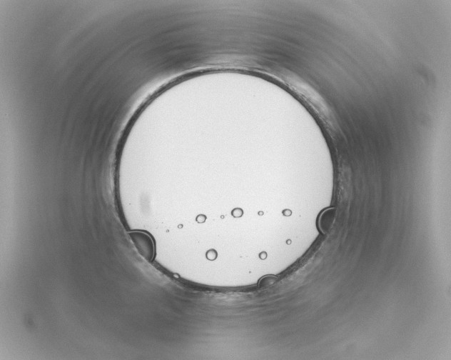 X0000115231288200911271814