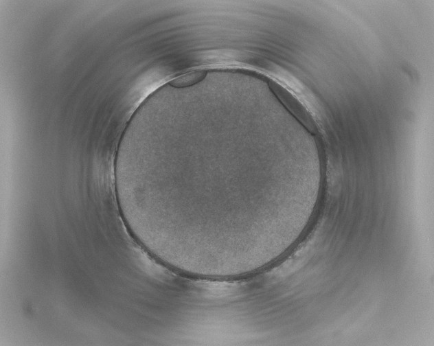 X0000115231289200911271814