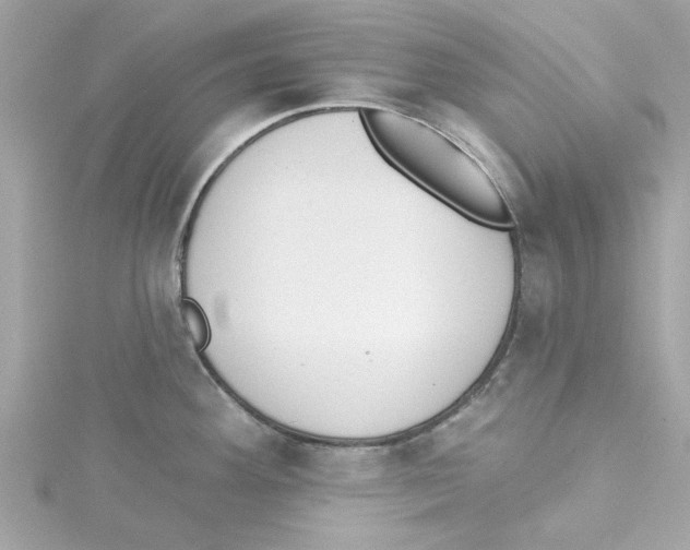 X0000115231292200911271814