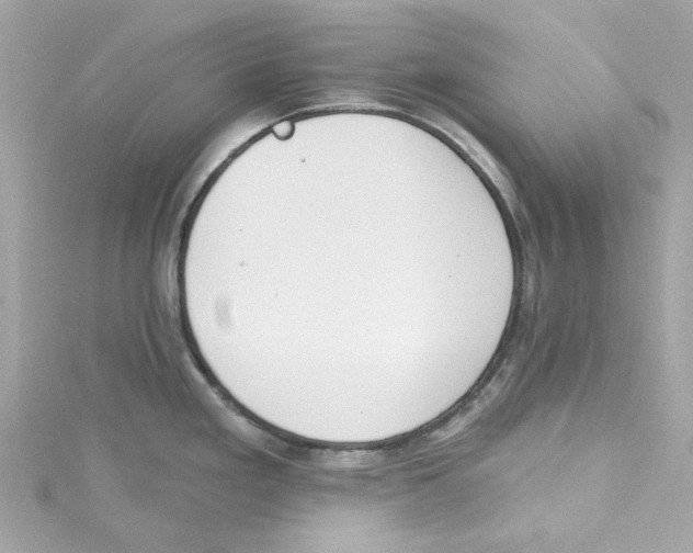 X0000115231293200911271814